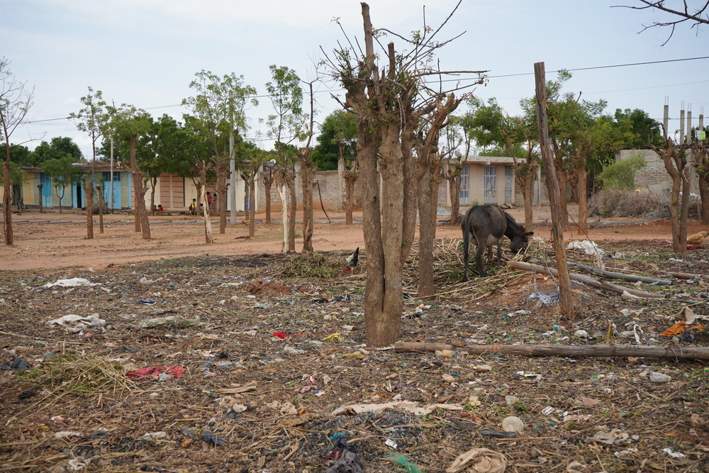 The Sematat IDP Camp in Shire, located in the Tigray region of Ethiopia, has been home to more than 43,415 internally displaced persons (IDPs) since the conflict ended in 2022.
Originally a school before the conflict began in 2020, the facility, like many other schools in the region, has been repurposed as a shelter for displaced individuals. However, it remains an overcrowded space, highlighting the ongoing challenges faced by those seeking refuge. ©️MSF