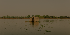 A Season of Death: How rains turn deadly, driving disease, food insecurity and mortality in Northern Nigeria