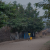Born and raised in a Camp: The Journey of Children in Kule Refugee Camp